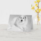 Große Pyrenäen, leichter Riese 5 Karte (Gelbe Blume)