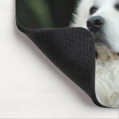 Große Pyrenäen Mousepad (Ecke)