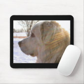 Große Pyrenäen Mousepad (Mit Mouse)