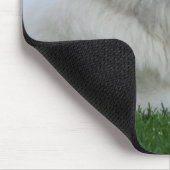 Große Pyrenäen Mousepad (Ecke)