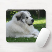 Große Pyrenäen Mousepad (Mit Mouse)