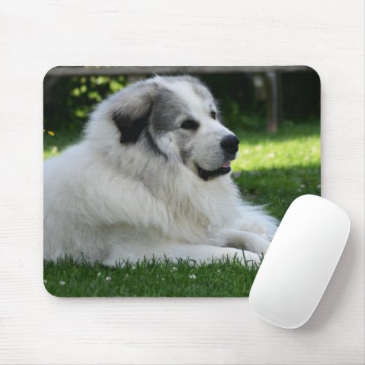 Große Pyrenäen Mousepad (Mit Mouse)