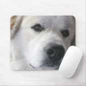 Große Pyrenäen Mousepad (Mit Mouse)