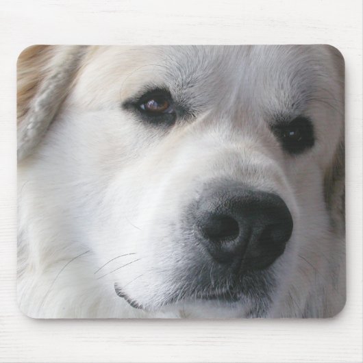Große Pyrenäen Mousepad (Vorne)