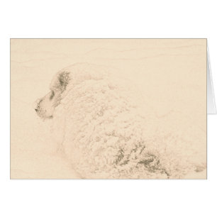 Große Pyrenäen, Schnee-Hunde-Reihe #1