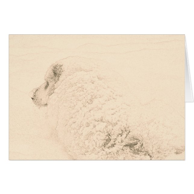 Große Pyrenäen, Schnee-Hunde-Reihe #1 (Vorderseite (Horizontal))