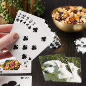 große Pyrenäen Spielkarten (In Situ)