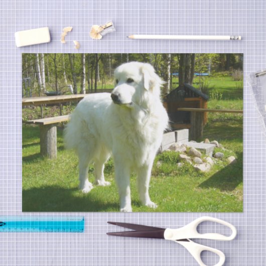 große Pyrenäen voll 2 Seidenpapier (Handwerk)