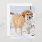 Große Pyrenäen Welpe im Schnee Feiertagspostkarte (Vorne/Hinten)