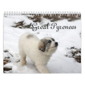 Große Pyrenäen-Welpen-Kalender Kalender (Titelbild)