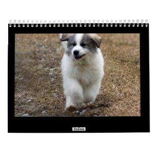 Große Pyrenäen-Welpen-Kalender Kalender