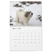 Große Pyrenäen-Welpen-Kalender Kalender (Feb 2027)