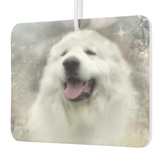 Große Pyrenäen Winterlandschaft Autolufterfrischer (Links)