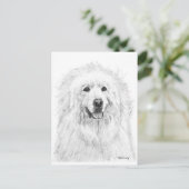 Große Pyrenäen Zeichnend Postkarte (Stehend Vorderseite)