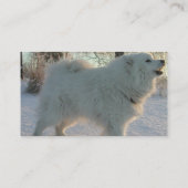 Große Pyreneees Visitenkarte (Rückseite)