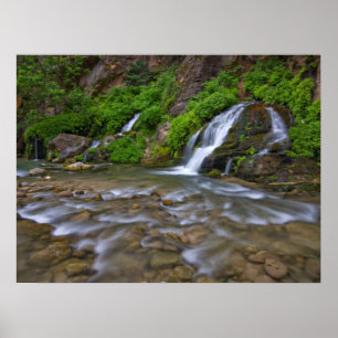Große Quellen Virgin River Zion-Nationalpark Poster