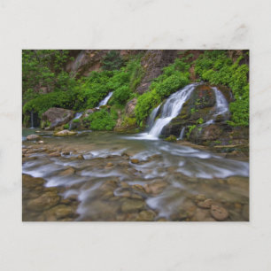 Große Quellen Virgin River Zion-Nationalpark Postkarte