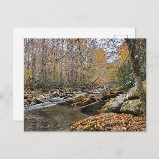 Große, rauchige Berge fallen Herbst Fluss Postkarte (Vorne/Hinten)