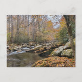 Große, rauchige Berge fallen Herbst Fluss Postkarte (Vorderseite)