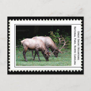Große, rauchige Berge Postkarte