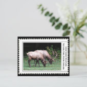 Große, rauchige Berge Postkarte (Stehend Vorderseite)