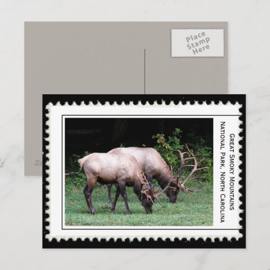 Große, rauchige Berge Postkarte (Vorne/Hinten)