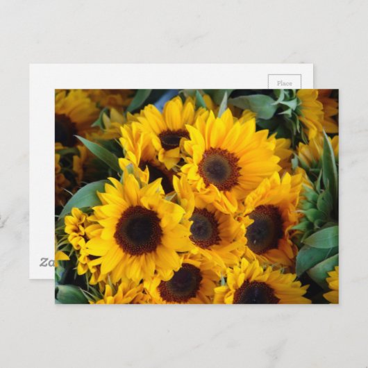 Große Riesenblumen Postkarte (Vorne/Hinten)