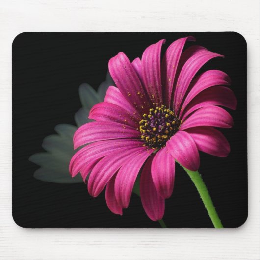 große rosa Blumenmaus Mousepad (Vorne)
