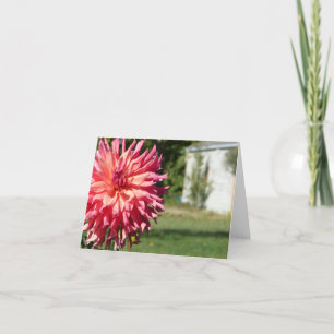 "GROSSE ROSA DAHLIE" NOTECARD KARTE