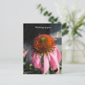 Große rosa Daisy Postkarte (Stehend Vorderseite)
