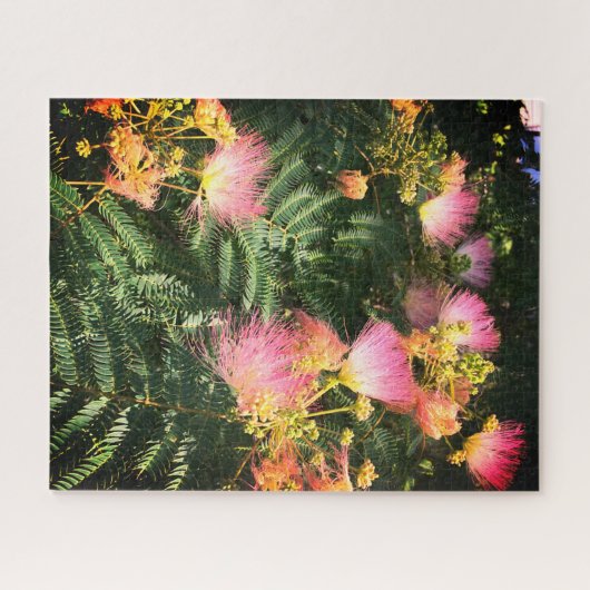 Große rosa Mimosa Blooms Puzzle (Horizontal)