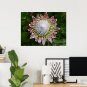Große rosa und weiße Blume Natur Foto Poster (Heimbüro)