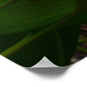 Große rosa und weiße Blume Natur Foto Poster (Ecke)