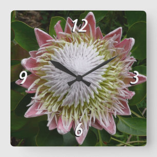 Große rosa und weiße Blume Natur Foto Quadratische Wanduhr