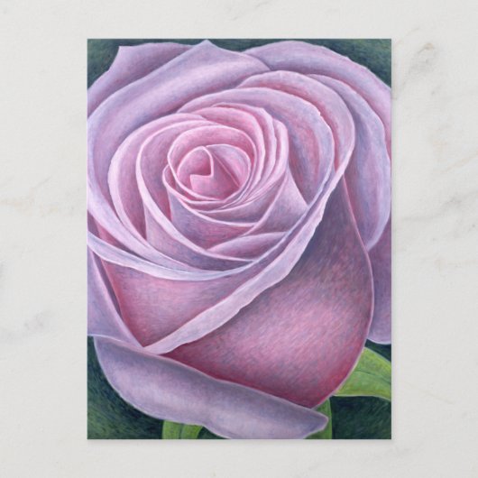 Große Rose 2003 Postkarte (Vorderseite)