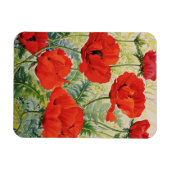 Große rote Poppies Magnet (Horizontal)