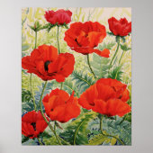 Große rote Poppies Poster (Vorne)