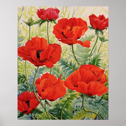 Große rote Poppies Poster (Vorne)