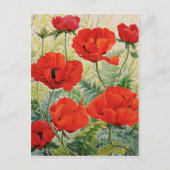 Große rote Poppies Postkarte (Vorderseite)