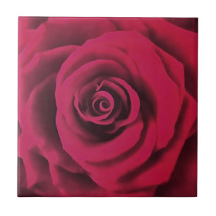 Große Rote Rose Fliese