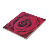 Große Rote Rose Fliese (Seite)