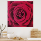 Große Rote Rose Poster (Küche)