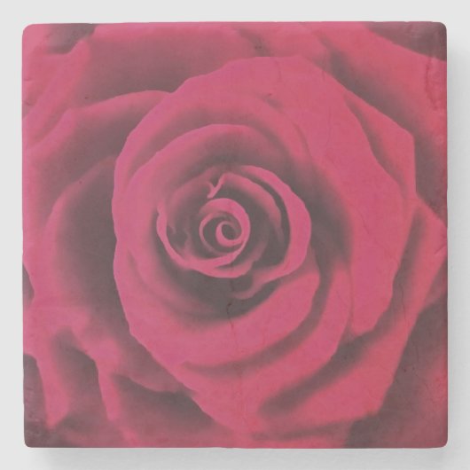 Große Rote Rose Steinuntersetzer (Vorderseite)