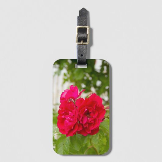 Große rote Rosen im Garten Gepäckanhänger (Vorderseite Vertikal)