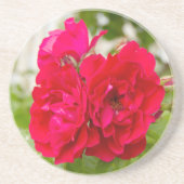 Große rote Rosen im Garten Getränkeuntersetzer (Vorne)