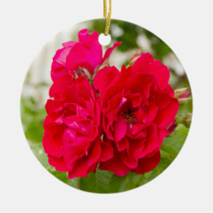 Große rote Rosen im Garten Keramik Ornament