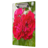 Große rote Rosen im Garten Klemmbrett (Links)