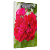 Große rote Rosen im Garten Klemmbrett (Rechts)