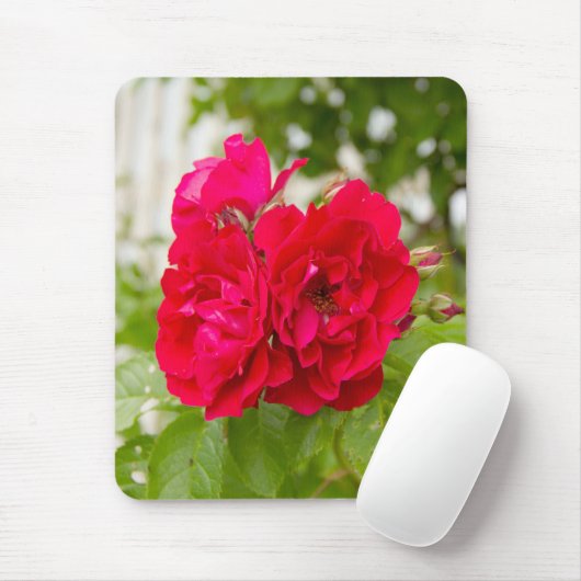 Große rote Rosen im Garten Mousepad (Mit Mouse)