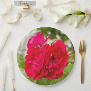 Große rote Rosen im Garten Pappteller